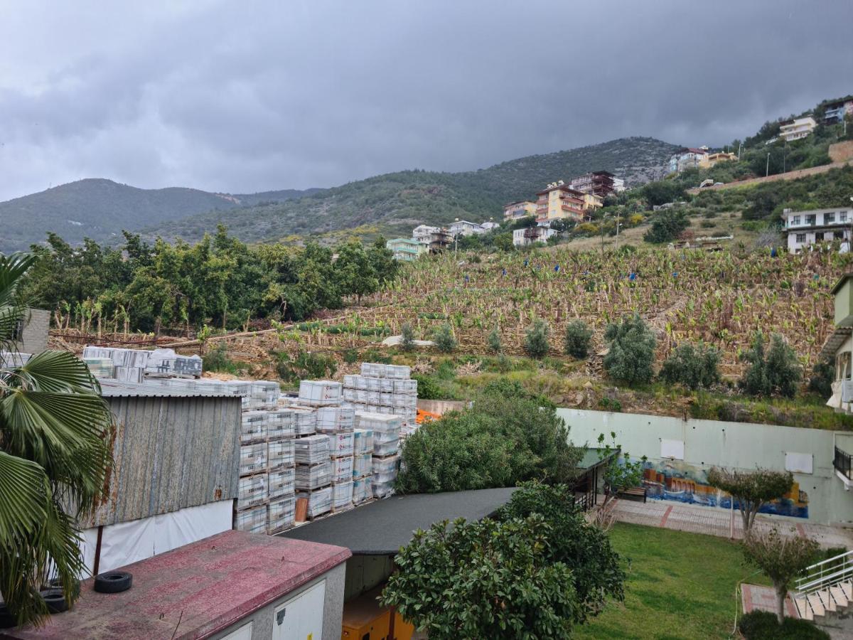 Kleopatra Sultan Rezidans Leilighet Alanya Eksteriør bilde